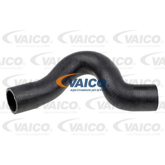 V10-1791 - Radiator Hose 