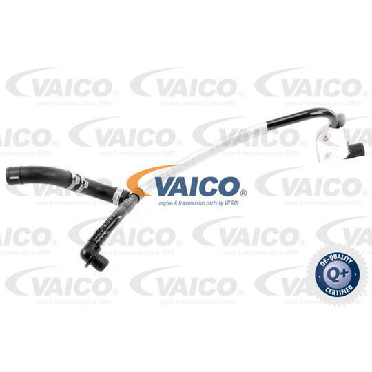 V10-3599 - Vacuum Hose, braking system 