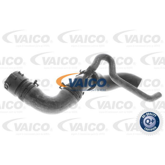 V10-3915 - Radiator Hose 