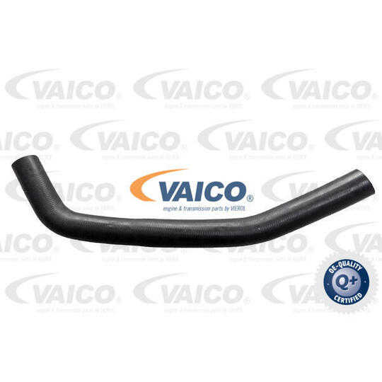 V10-4055 - Radiator Hose 