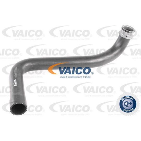 V10-4336 - Radiator Hose 