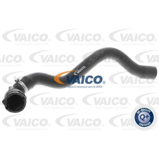 V10-4665 - Radiator Hose 