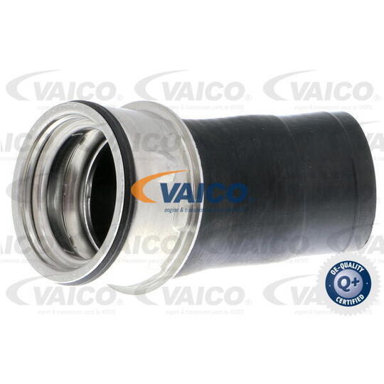 V10-4666 - Charger Intake Hose 