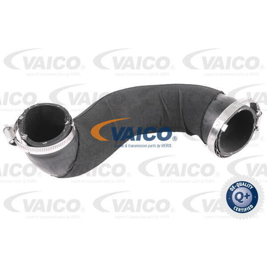 V10-4798 - Charger Intake Hose 