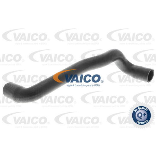 V10-4810 - Radiator Hose 