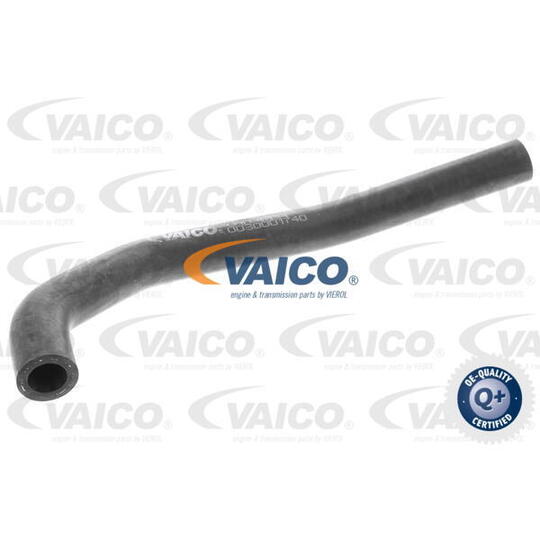 V10-4834 - Radiator Hose 