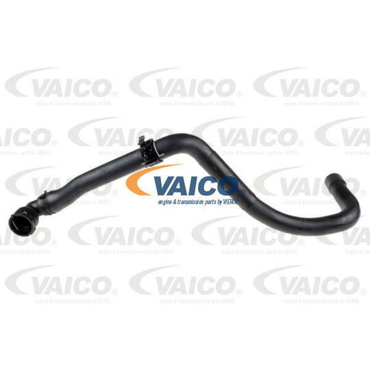 V10-5538 - Radiator Hose 