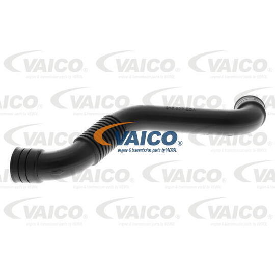 V10-6494 - Bleeding Hose 