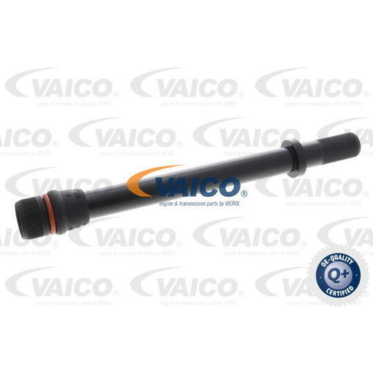 V10-6647 - Funnel, oil dipstick 