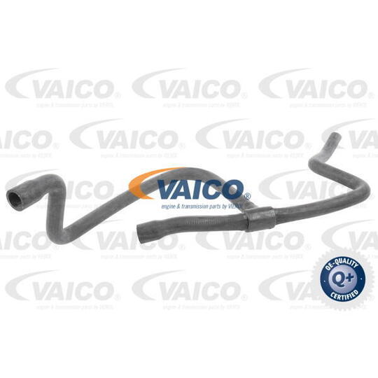 V20-0156 - Radiator Hose 