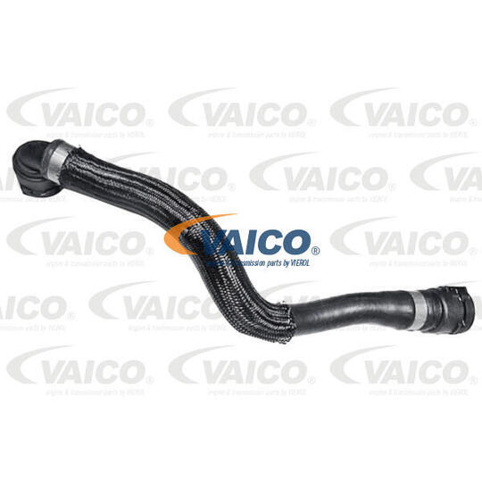 V20-3875 - Radiator Hose 