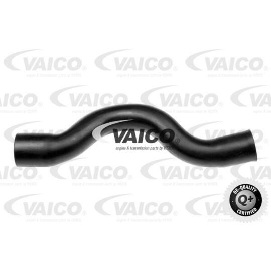 V22-0745 - Radiator Hose 