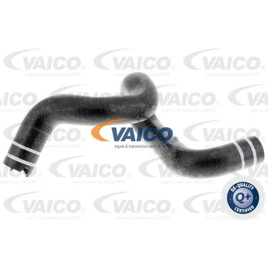 V24-0806 - Radiator Hose 