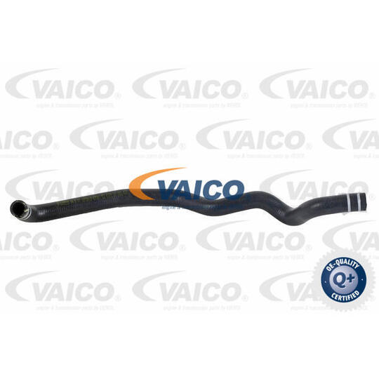 V24-0825 - Radiator Hose 