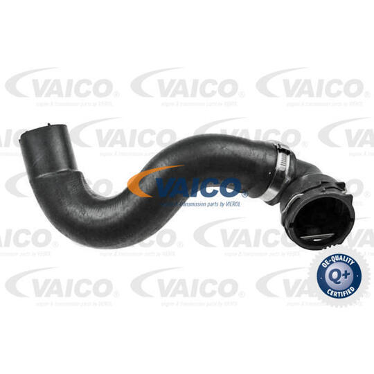 V24-1168 - Radiator Hose 