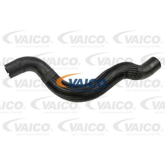 V24-1164 - Radiator Hose 