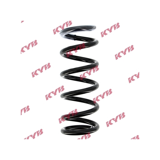 RG1004 - Coil Spring 