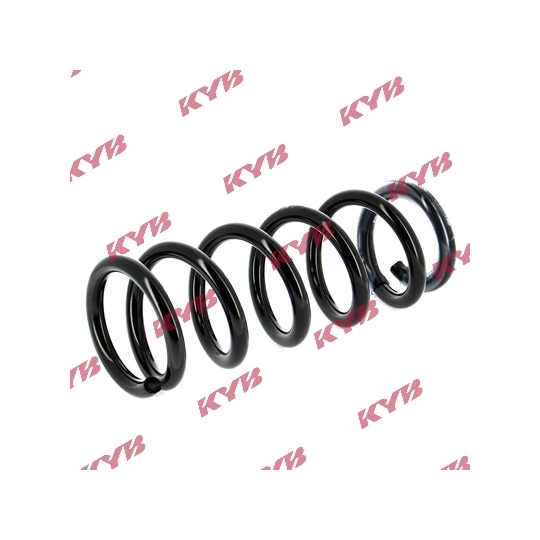 RG1004 - Coil Spring 