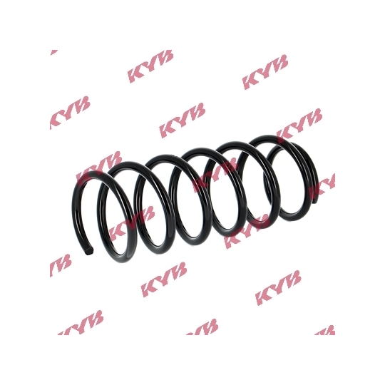 RG1009 - Coil Spring 