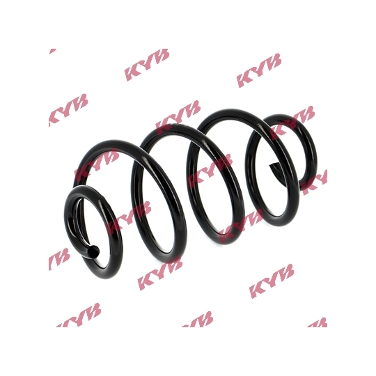 RG5013 - Coil Spring 