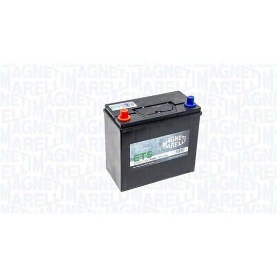 069045330116 - Starter Battery 