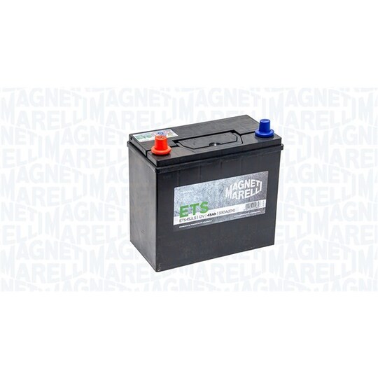 069045330216 - Starter Battery 