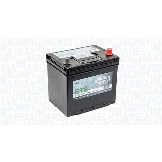069060390006 - Starter Battery 