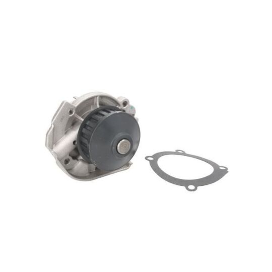 D1F020TT - Water pump 