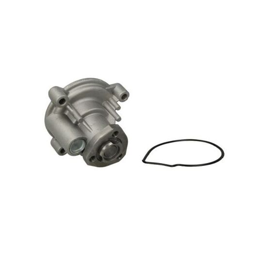 D1W056TT - Water pump 