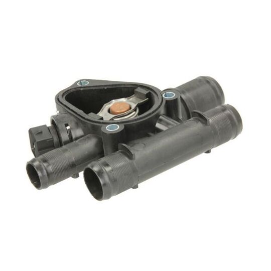 D21002TT - Thermostat, coolant 