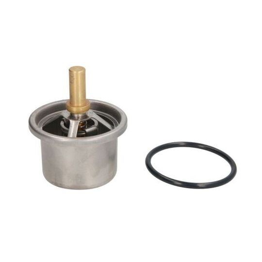 D2DA006TT - Thermostat, coolant 