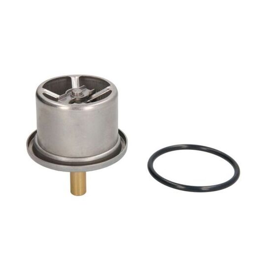 D2DA006TT - Thermostat, coolant 