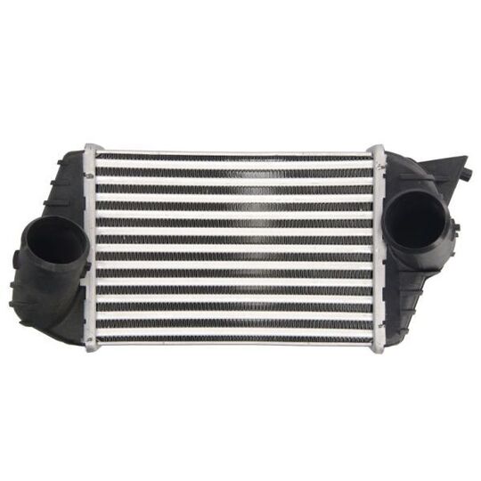 DAF009TT - Intercooler, charger 