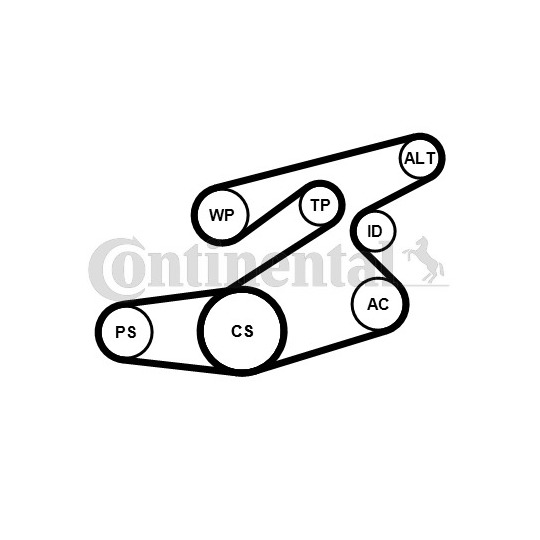 6PK1836WP1 - Vesipumppu + vetohihnasarja 