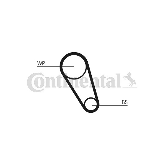 CT1169WP2 - Veepump + hammasrihmakomplekt 