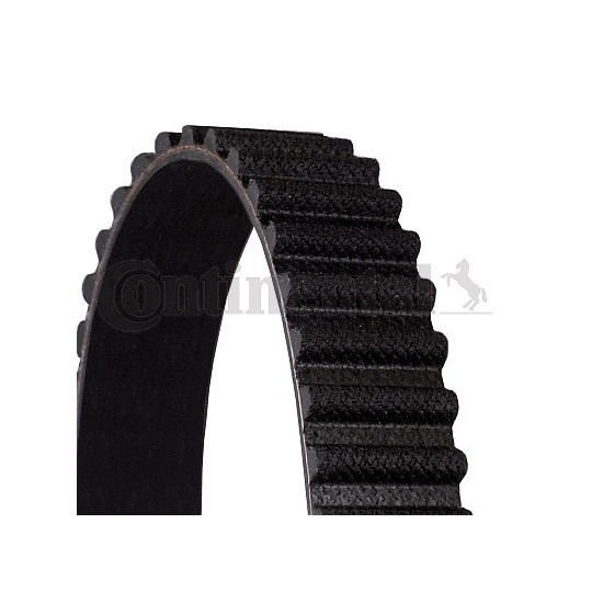 CT1194 - Timing Belt 