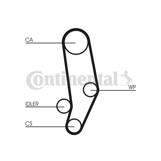 CT704WP2PRO - Water Pump & Timing Belt Set 