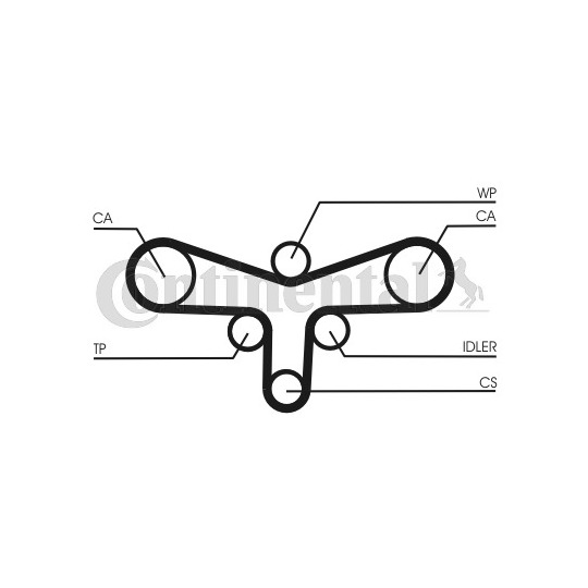 CT920WP3 - Water Pump & Timing Belt Set 