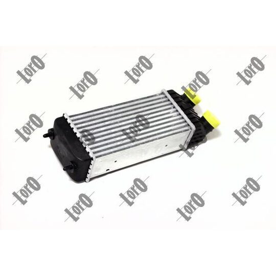 009-018-0005 - Intercooler, charger 