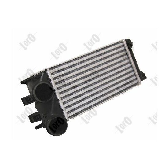 009-018-0010 - Intercooler, charger 