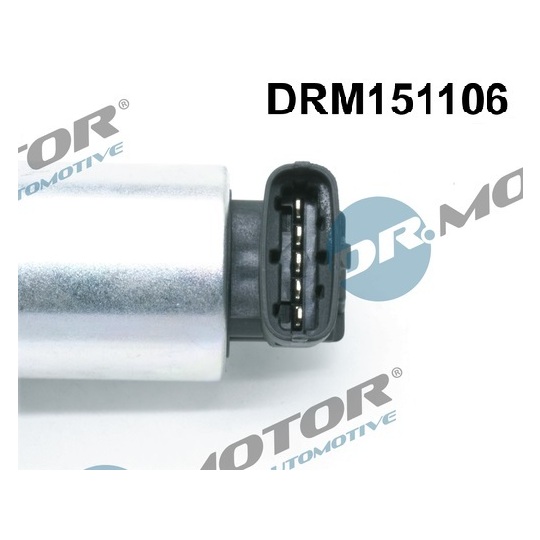 DRM151106 - EGR Valve 