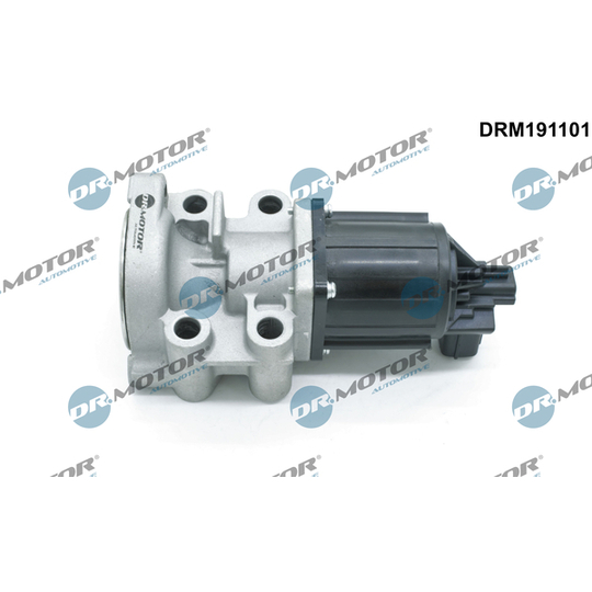 DRM191101 - EGR Valve 