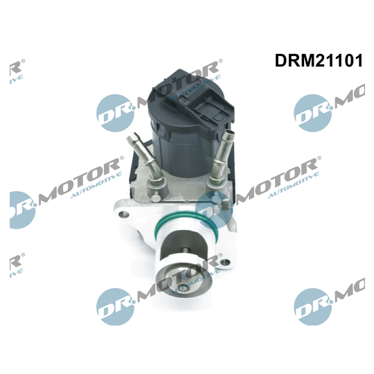 DRM21101 - EGR-klapp 