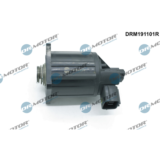 DRM191101R - EGR Valve 