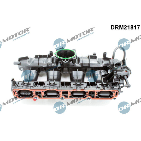 DRM21817 - Intake Manifold Module 