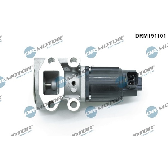 DRM191101 - EGR Valve 