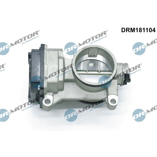 DRM181104 - Throttle body 