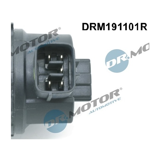 DRM191101R - EGR Valve 