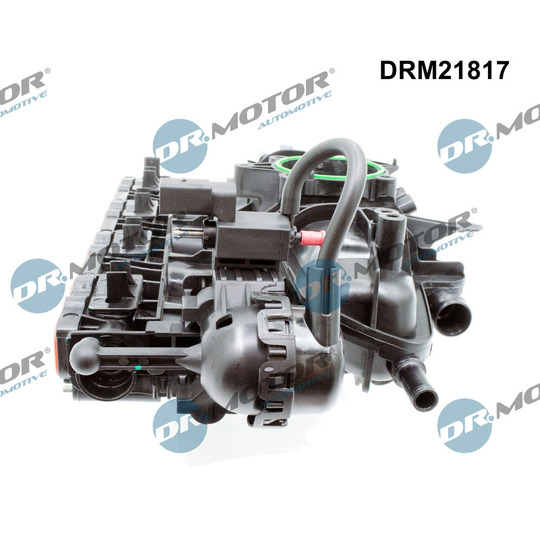 DRM21817 - Intake Manifold Module 