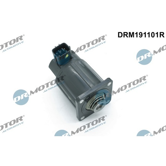 DRM191101R - EGR Valve 